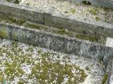 image of grave number 206483